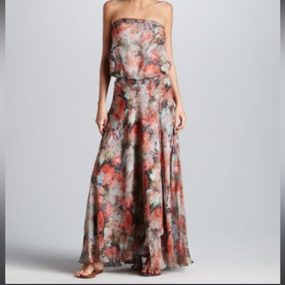 Haute Hippie Floral Strapless Maxi Dress - Multicolor